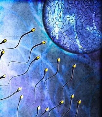 Причины бесплодия